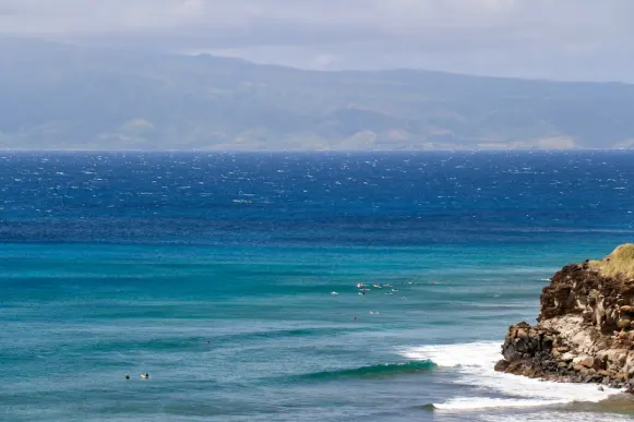 Casombie Kaszinó Támogatás